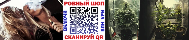 Лсд 25 Лыткарино