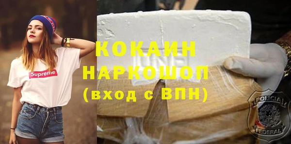 PSILOCYBIN Белокуриха
