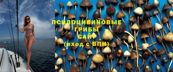 эйфоретик Беломорск
