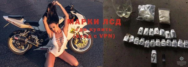 PSILOCYBIN Белокуриха
