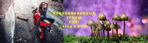 эйфоретик Беломорск