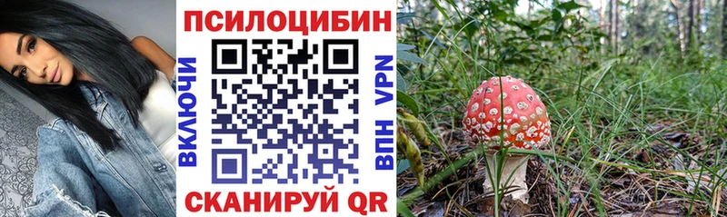 Псилоцибиновые грибы прущие грибы kraken маркетплейс Лыткарино
