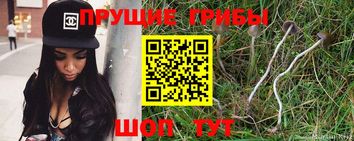 Галлюциногенные грибы GOLDEN TEACHER Лыткарино