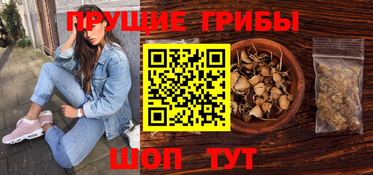 Галлюциногенные грибы прущие грибы  Вход с VPN  Лыткарино 
